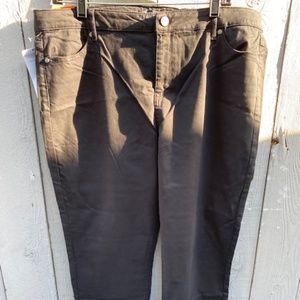 Buffalo David Bitton Jeans _ NWT